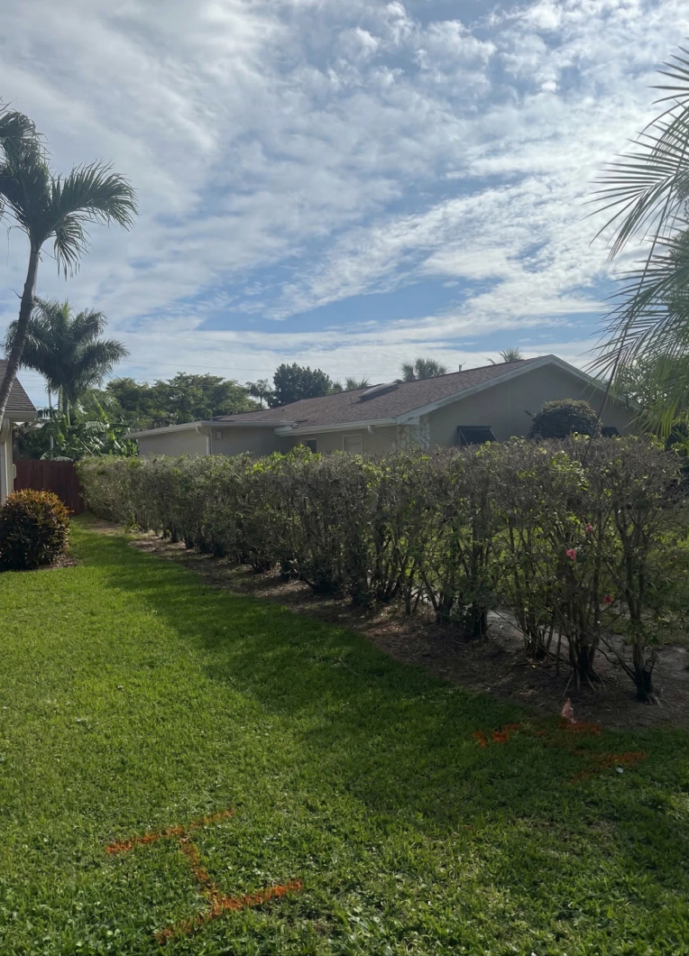 Complete Property Restoration (Content Image)