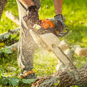 Flipcard Icon Frame 18