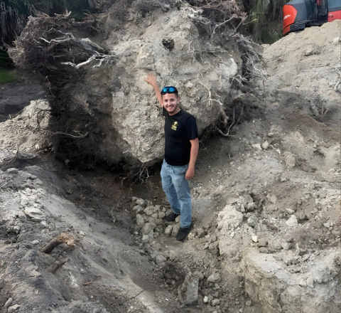 Your Neighbors in Stump Grinding and Lawn Care (Content Image)